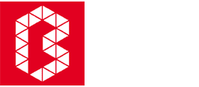 Bonn.digital logo